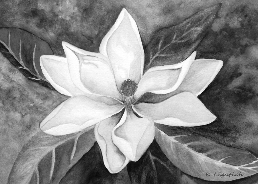 Magnolia in Black and White Digital Art by Kerri Ligatich