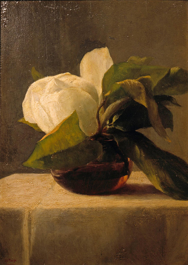 Magnolia Painting by John LaFarge