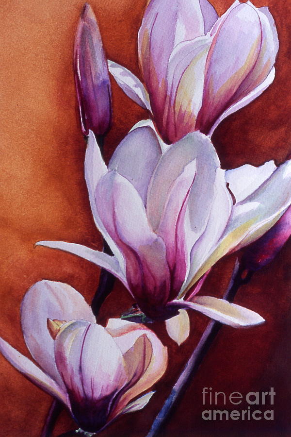 Magnolia Ladder-WC Painting by Daniela Easter