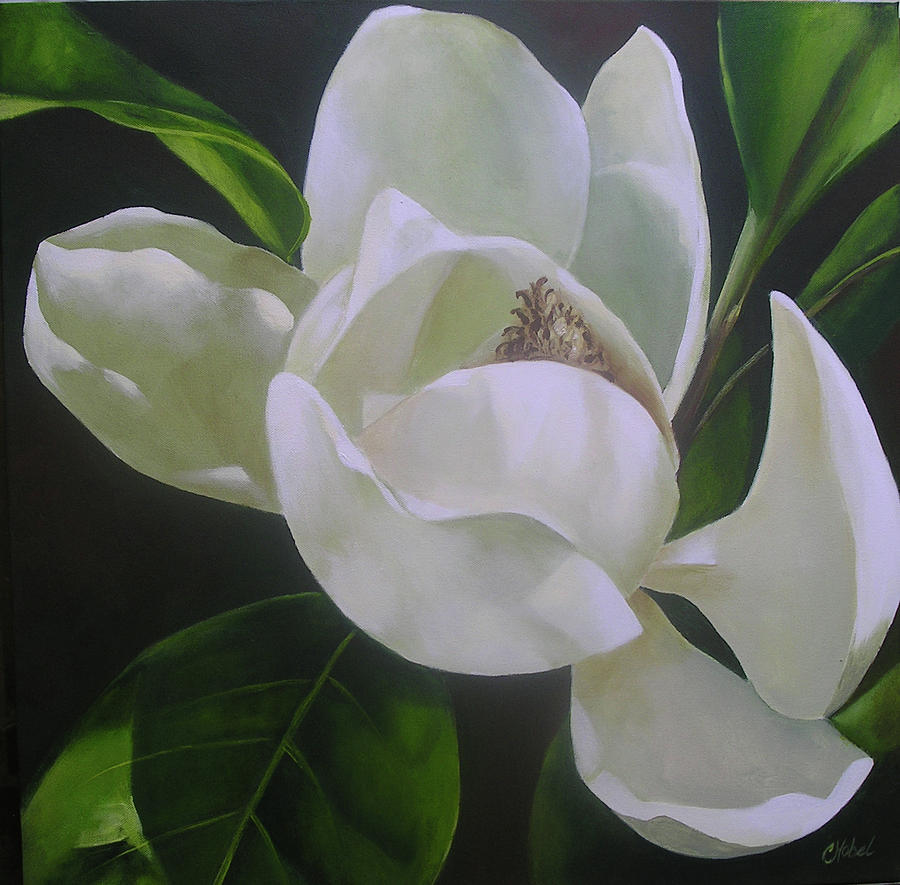 Magnolia Light Painting by Chris Hobel