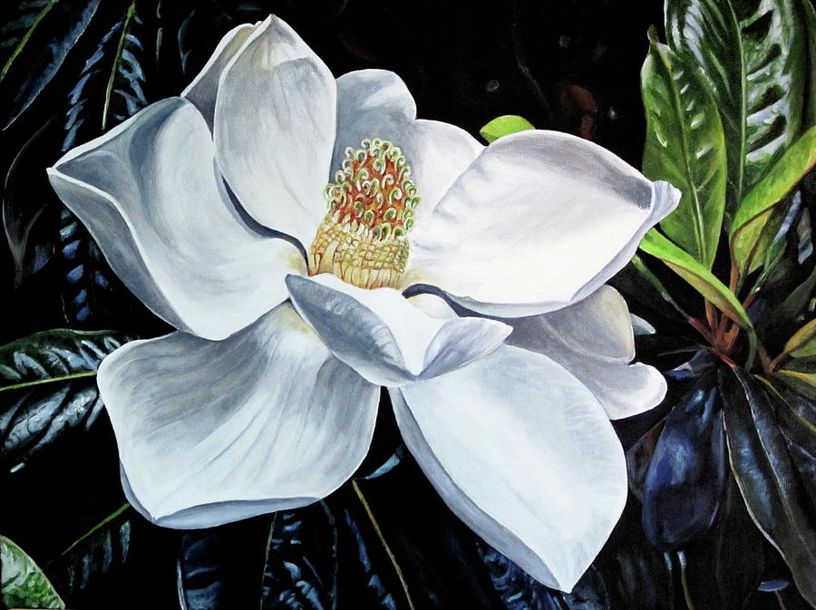 Magnolia Movie Painting - Magnolia by Lillian  Bell