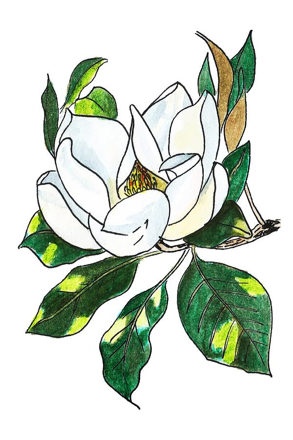 Magnolia Painting by Masha Batkova