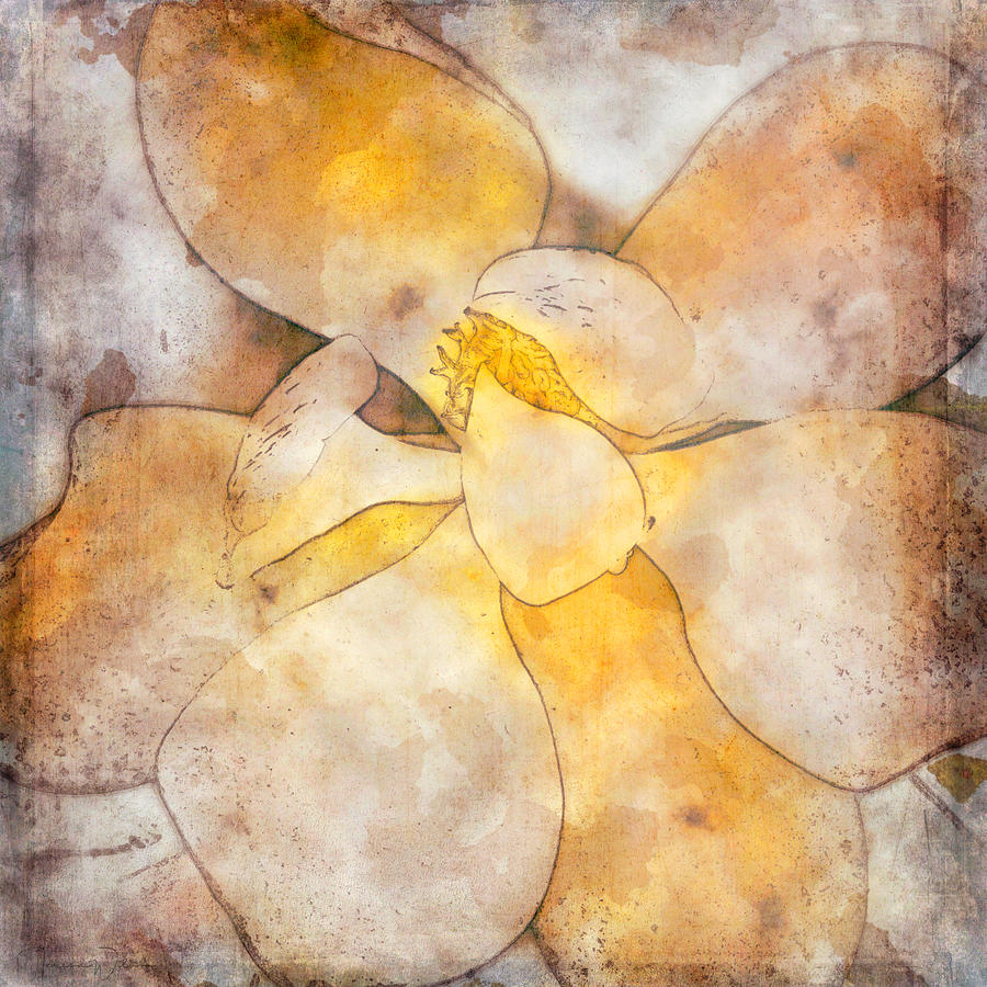 Magnolia Modern Art Mixed Media by Teresa Wilson