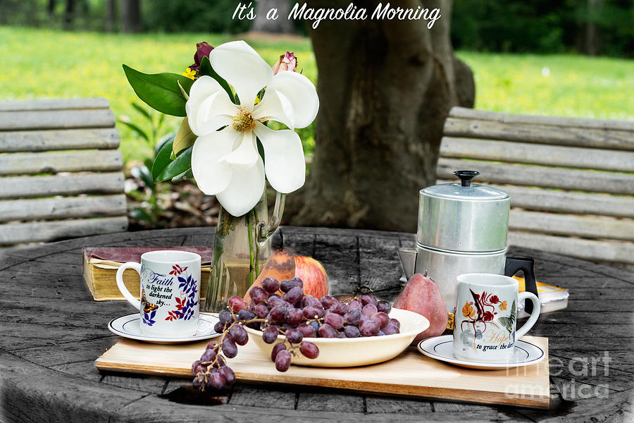 Magnolia Morning Photograph by Metaphor Photo