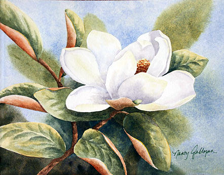 Magnolia Painting by Nancy Goldman