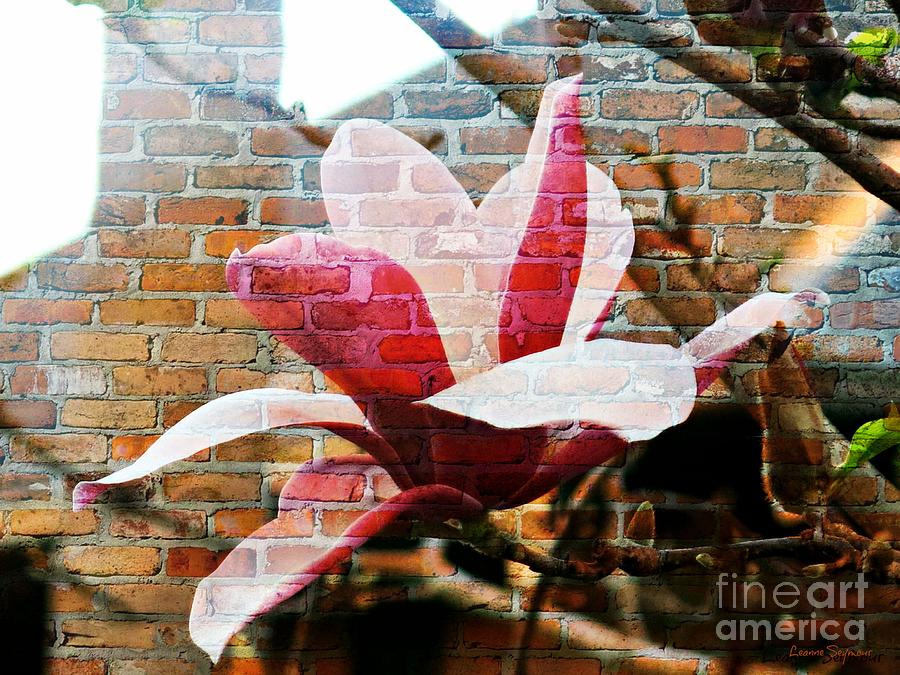 Magnolia On The Wall Mixed Media by Leanne Seymour