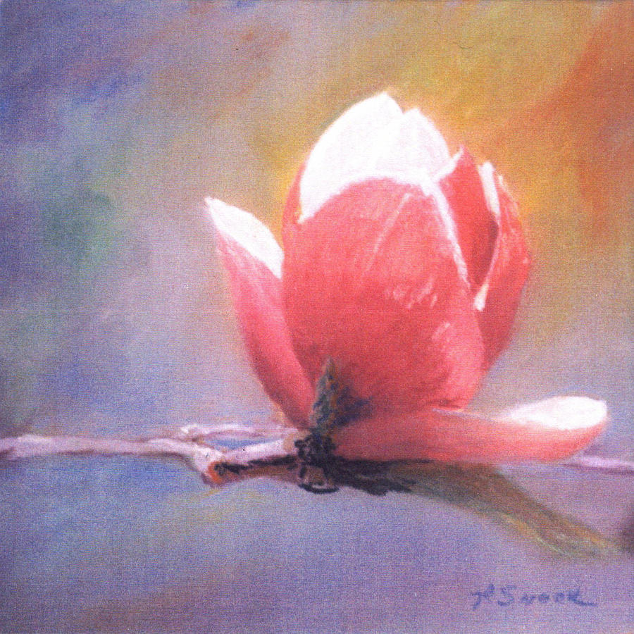 Magnolia Flower Pastel - Magnolia by Pat Snook
