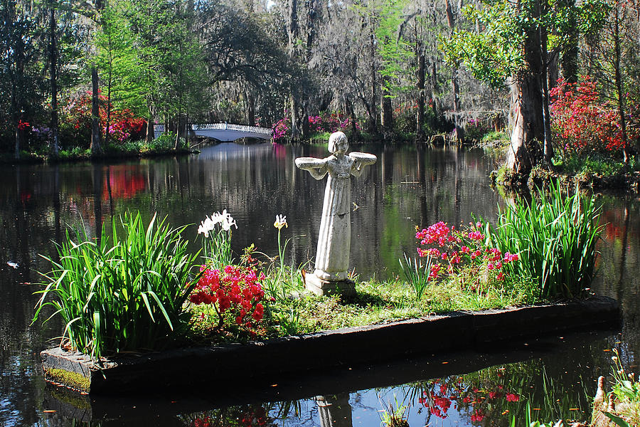 Magnolia Place Pond Photograph by Jerry Griffin Fine Art America
