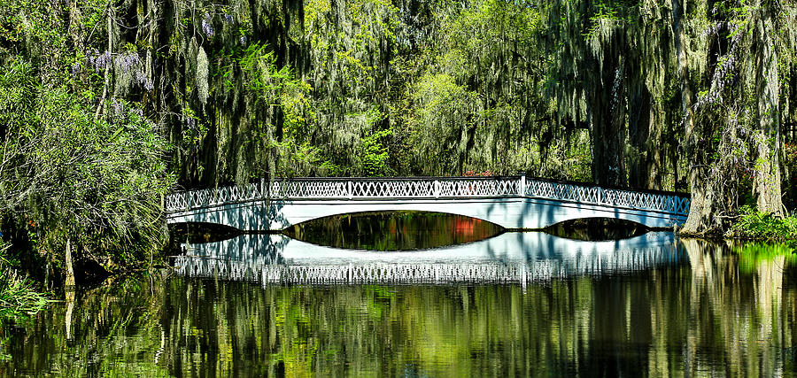 Magnolia Plantation Bridge - Charleston SC Photograph by Donnie Whitaker