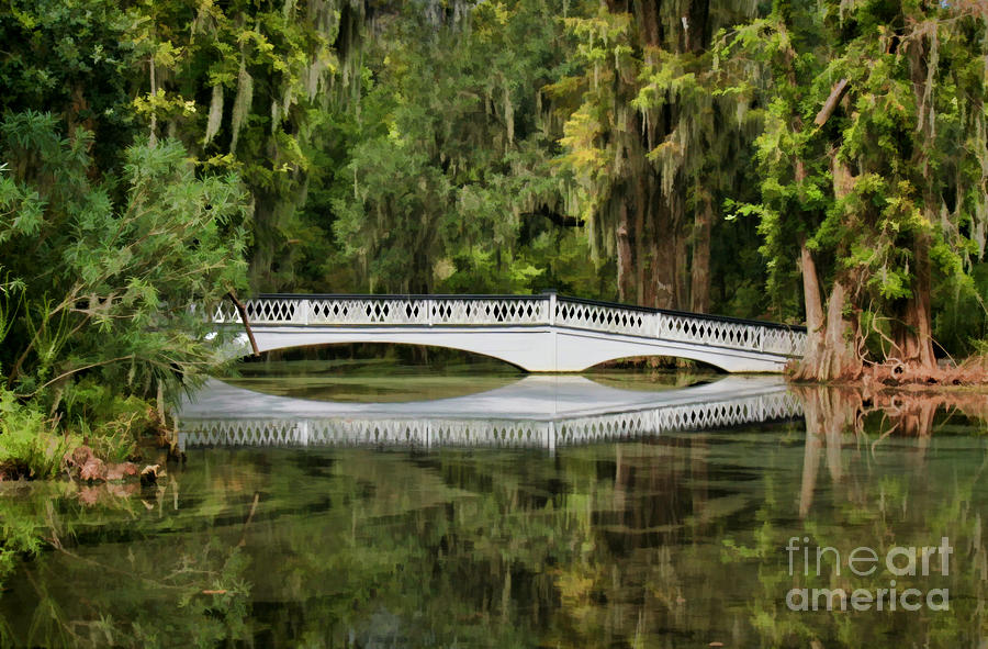 Magnolia Plantation Bridge Photograph by Michelle Tinger
