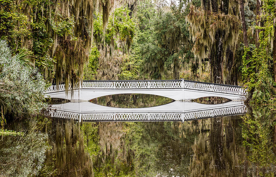 Magnolia Plantation Gardens Bridge Photograph by Donnie Whitaker