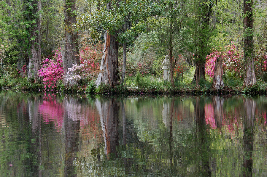 Magnolia Plantation Gardens Series IV Photograph by Suzanne Gaff