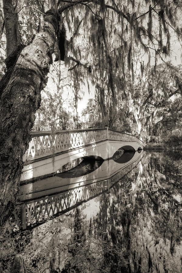 Magnolia Plantation Photograph - Magnolia Reflections by Dustin K Ryan