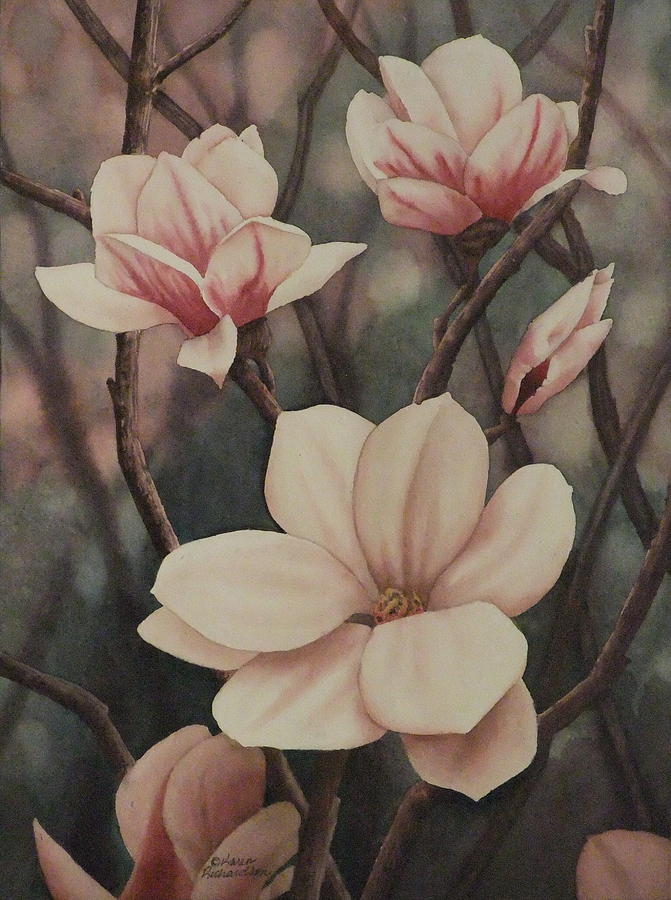 Magnolia Serenade Painting by Karen Richardson