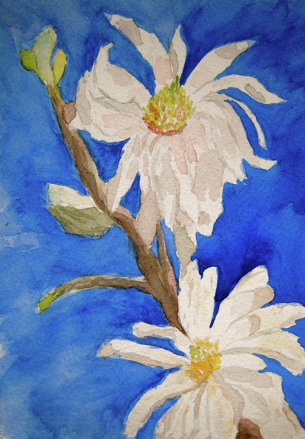 Magnolia Stellata Blue Skies Painting by Beverley Harper Tinsley