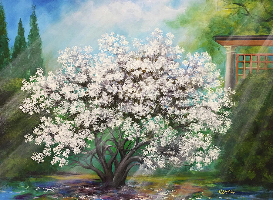 Inspirational Painting - Magnolia Stellata by Vesna Delevska Inspirational Painting - Magnolia Stellata by Vesna Delevska