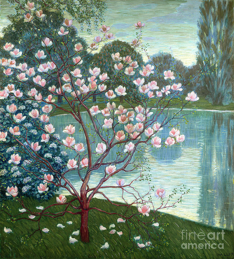 Magnolia Painting by Wilhelm List