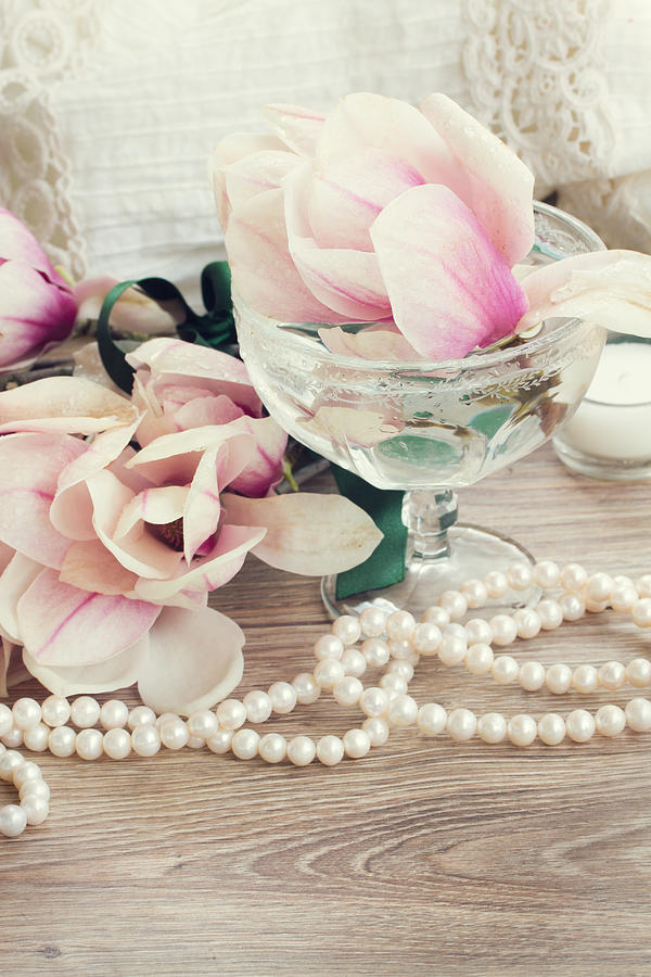 Magnolia  with Pearls  Photograph by Anastasy Yarmolovich