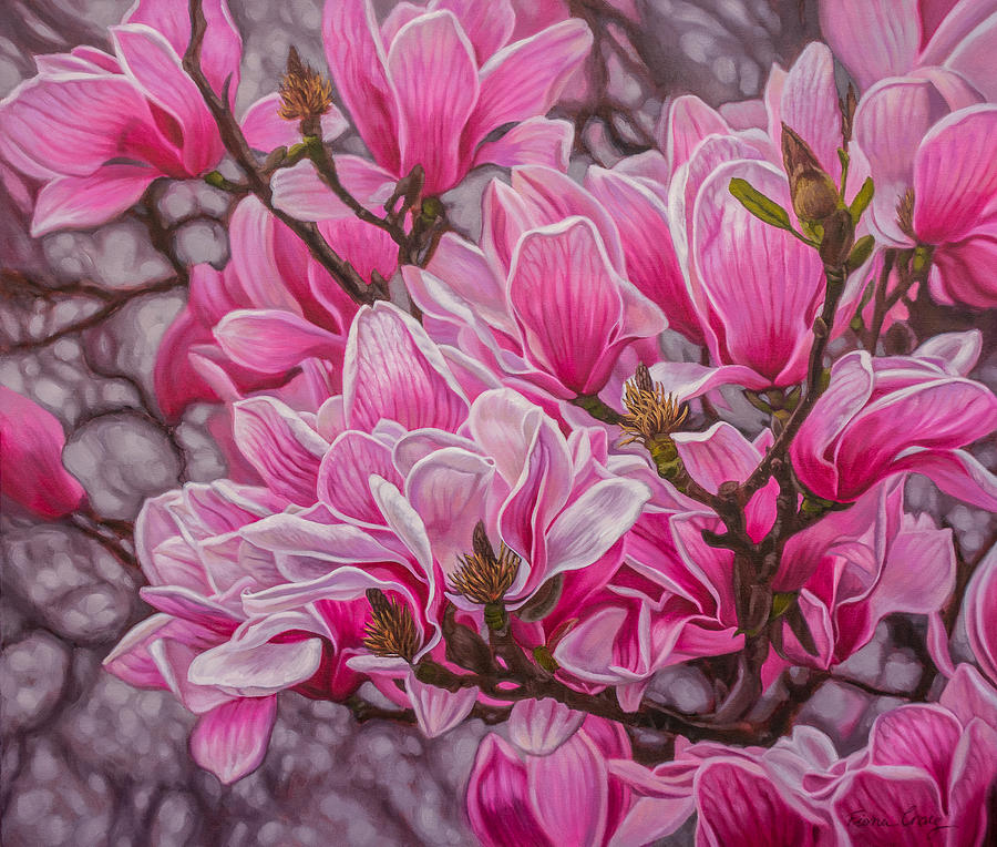 Magnolia Movie Painting - Magnolias 1 by Fiona Craig