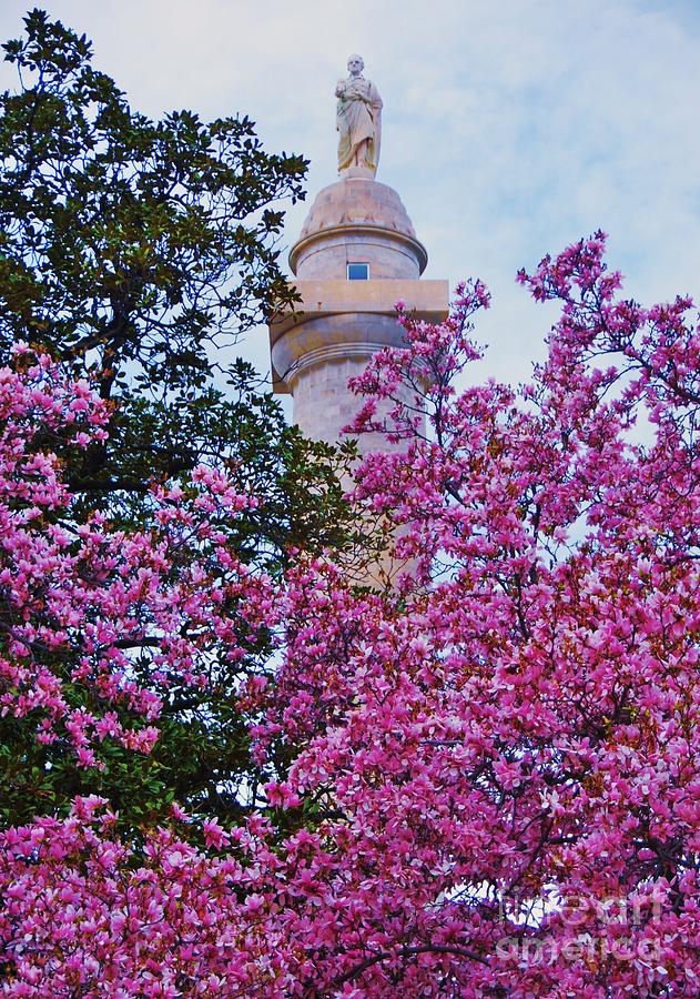 Magnolias And George Washington Photograph by Poets Eye