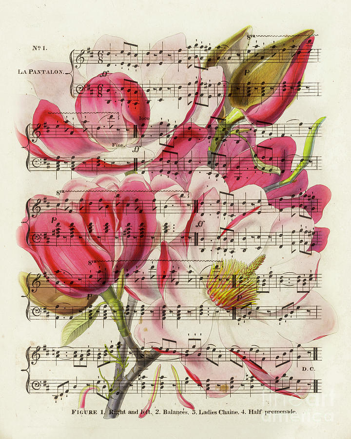 Magnolias flowers and sheet music vintage collage Mixed Media by Delphimages Photo Creations