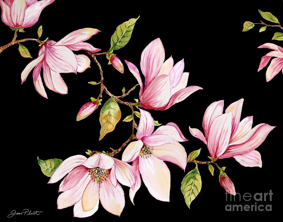 Magnolias-Black-JP3875 Painting by Jean Plout