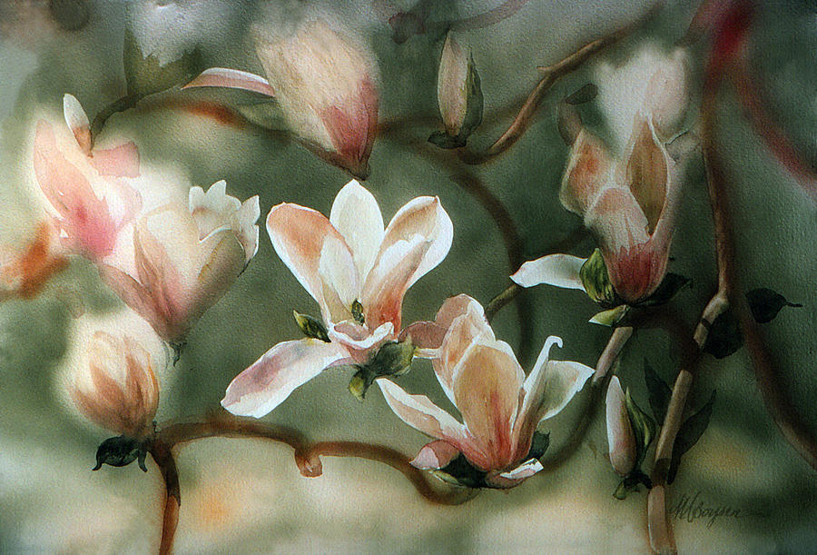 Magnolias in Bloom Painting by Maryann Boysen