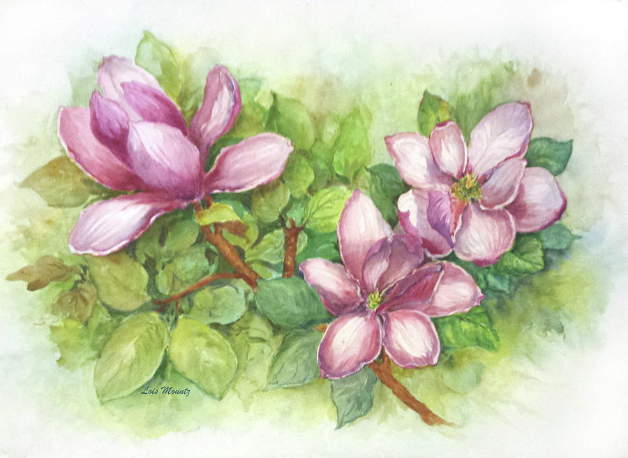 Magnolias in Spring  Painting by Lois Mountz