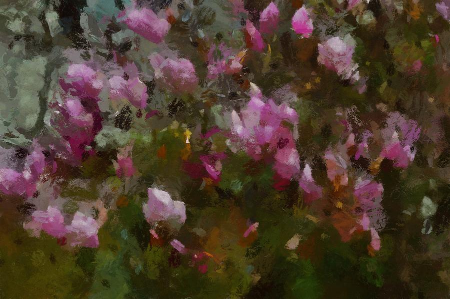 Magnolias In The Abstract Photograph by Tricia Marchlik