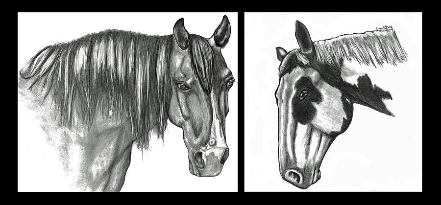 Portrait Drawing - Magnum and Zap by Crystal Suppes