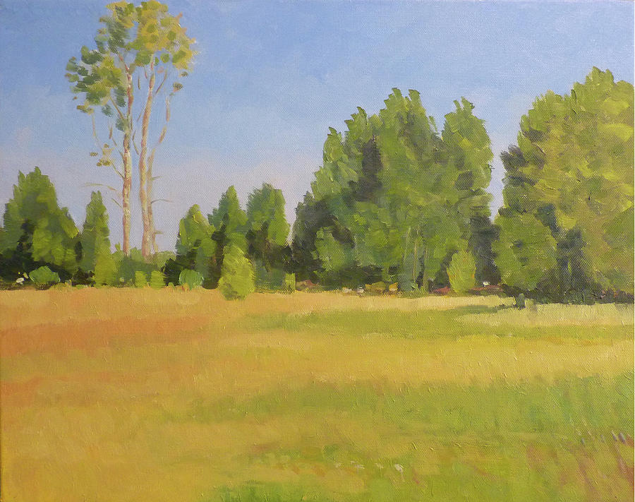 Magnuson Park Fields  Painting by Stan Chraminski