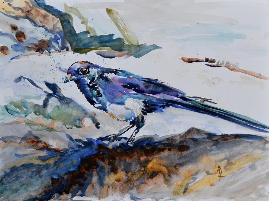 Magpie On The Coast Painting by Beverley Harper Tinsley