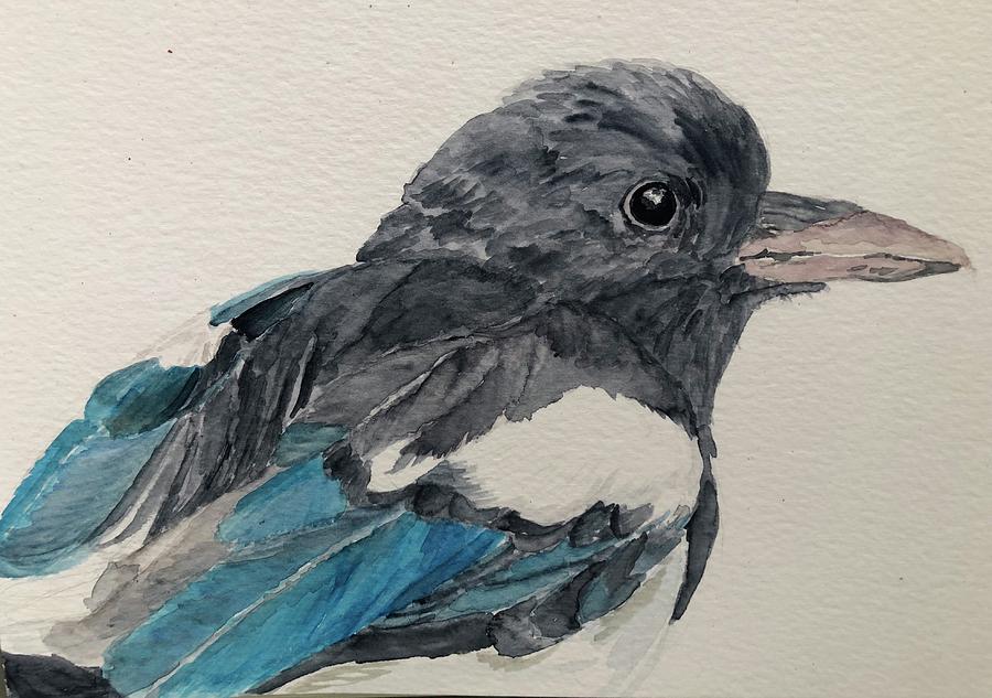 Magpie Painting By Sarah Lundin-erickson - Pixels