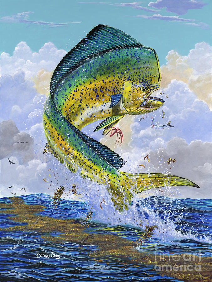 Fish Painting - Mahi Hook Up by Anthony C Chen