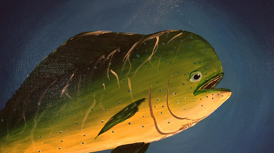 Mahi Mahi Dolphin Painting by Lougena Carolin | Fine Art America