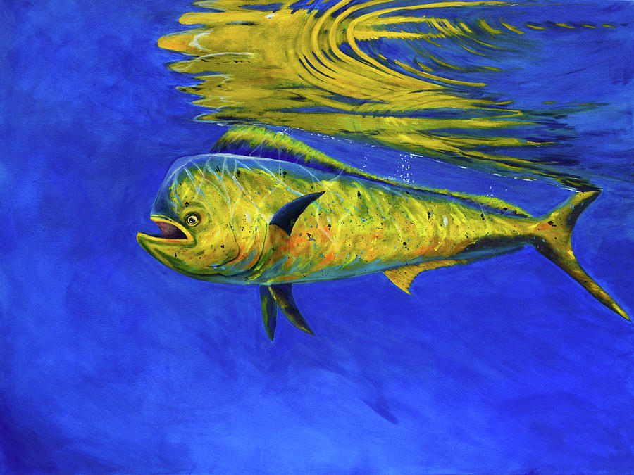 Mahi Mahi Fish Painting by Donna Tucker