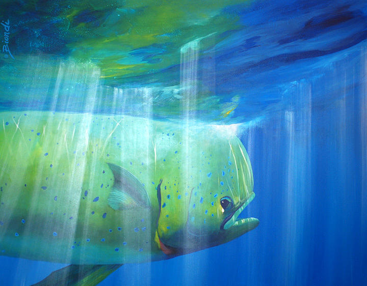 Mahi Painting - Mahi Mahi by Janet Biondi Mahi Painting - Mahi Mahi by Janet Biondi