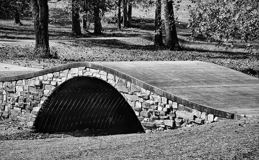 Mahr Park Arched Footbridge - bw Photograph by Greg Jackson