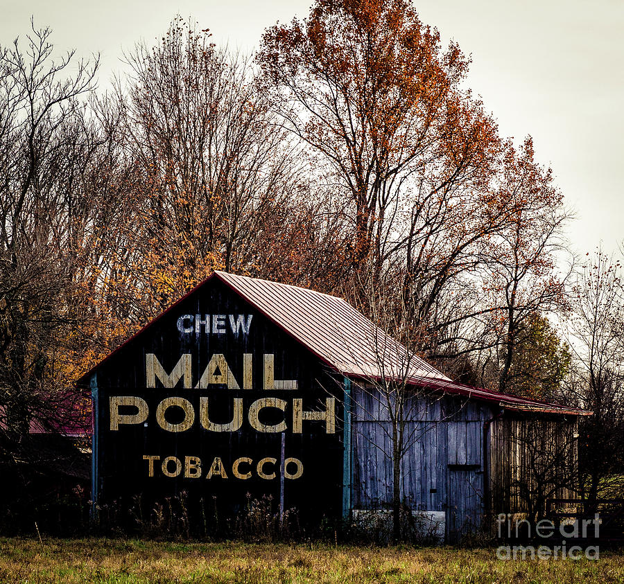 Mail Pouch Barn Photograph by Mary Carol Story