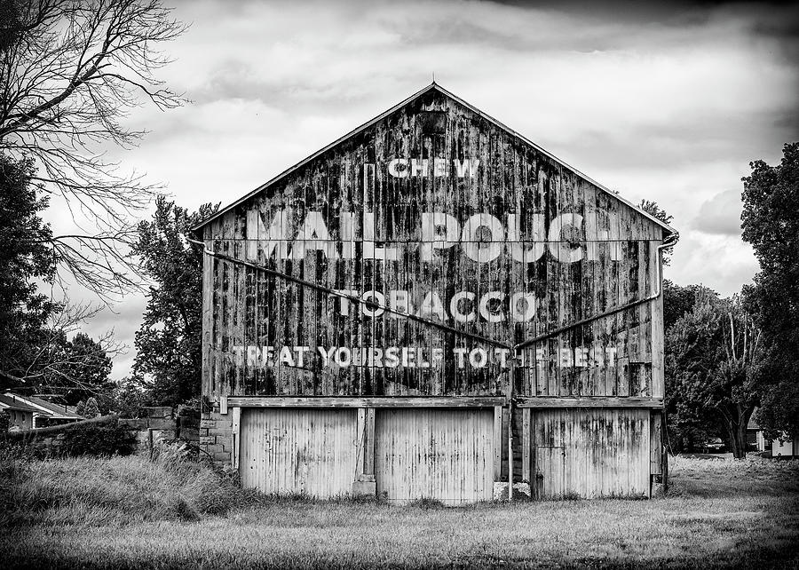 Tree Photograph - Mail Pouch Barn - Us 30 #2 by Stephen Stookey