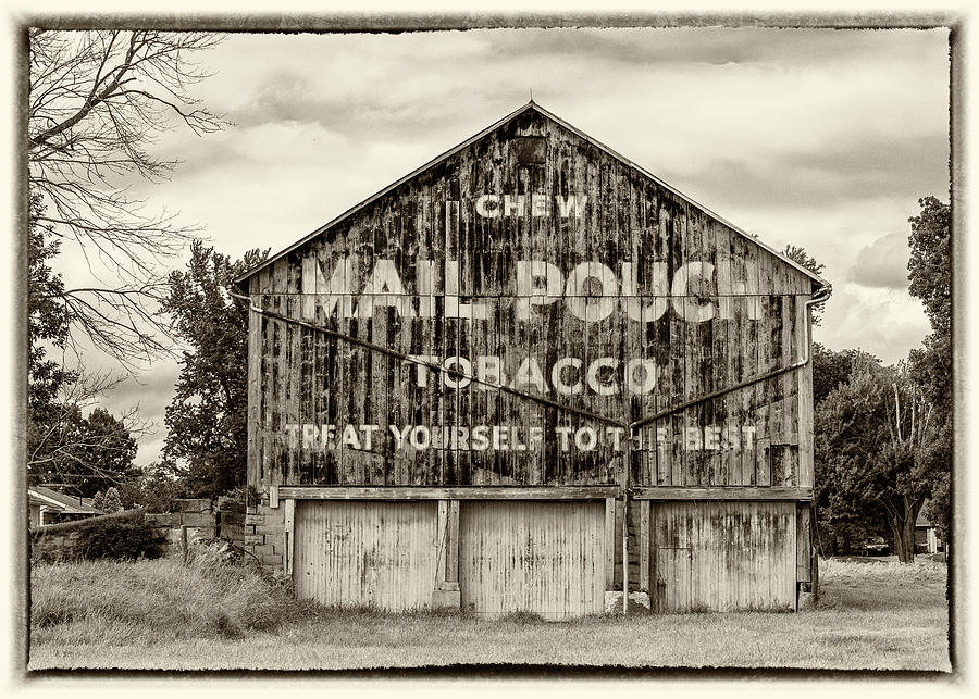 Tree Photograph - Mail Pouch Barn - Us 30 #5 by Stephen Stookey