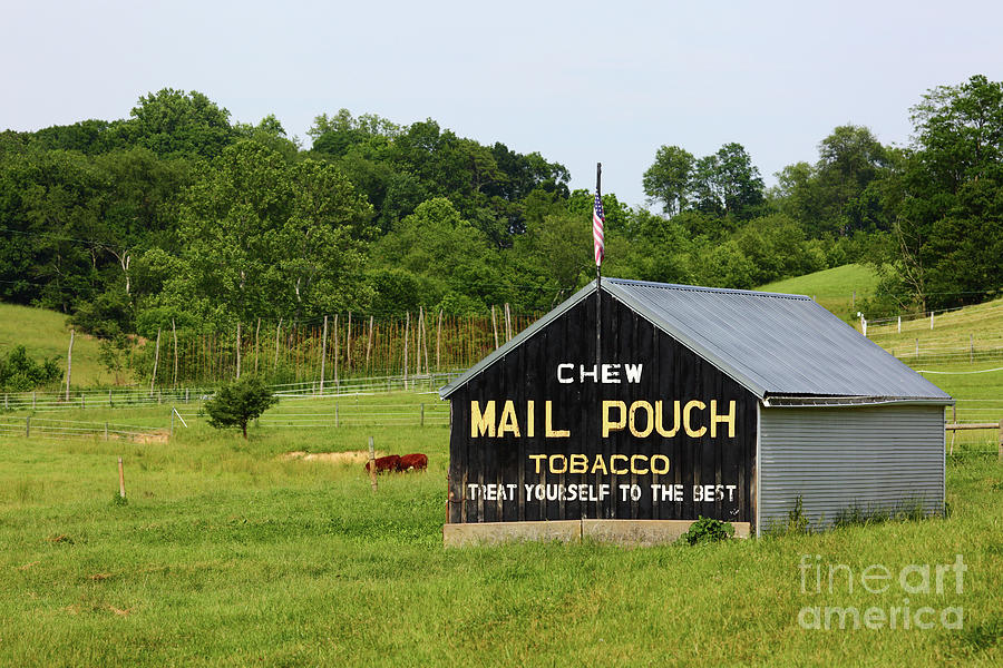 Mail Pouch Tobacco Barn in Maryland Photograph by James Brunker