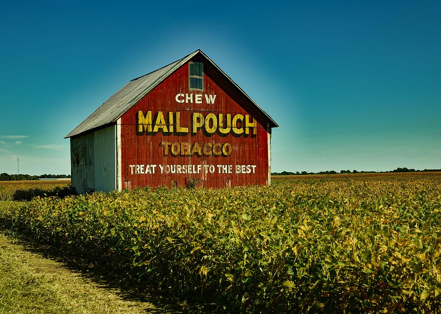 Nature Photograph - Mail Pouch Tobacco Barn by Mountain Dreams