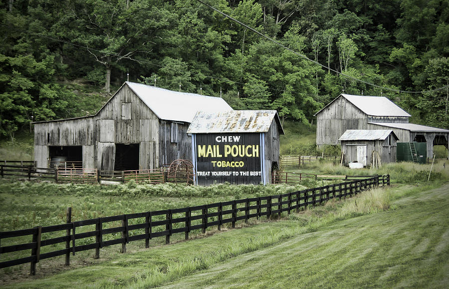 Barn Photograph - Mail Pouch Tobacco Barn by Phyllis Taylor