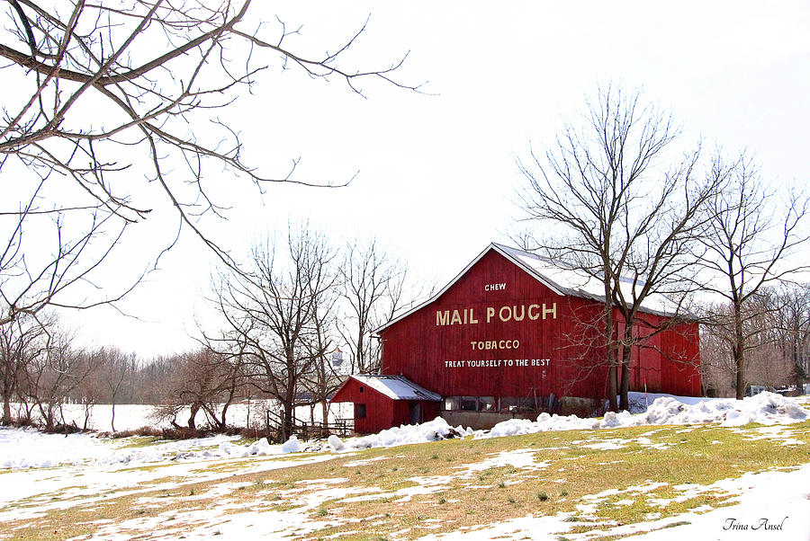 Mail Pouch Tobacco Barn Photograph by Trina Ansel