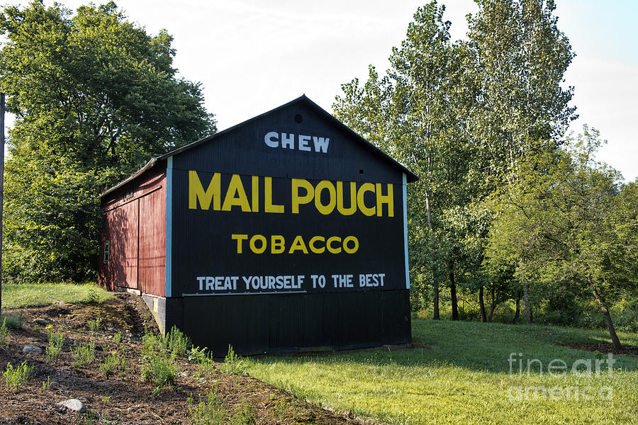 Barn Photograph - Mail Pouch Tobacco by David Arment