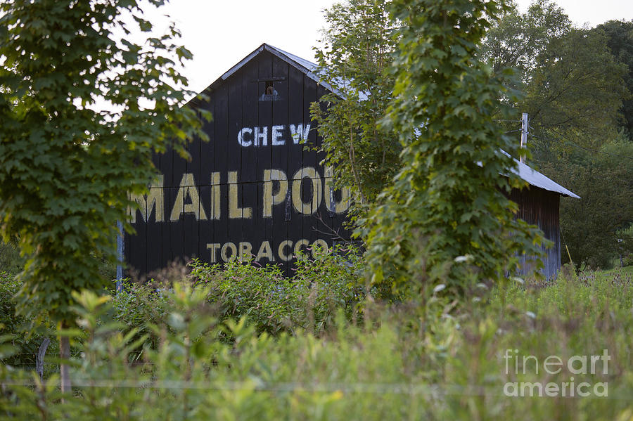 Mail Pouch Tobacco Photograph by Jim West