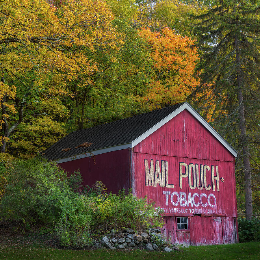 Mail Pouch Tobacco Square Photograph by Bill Wakeley