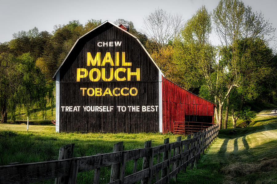 Tree Photograph - Mail Pouch Tobacco - West Virginia by Mountain Dreams