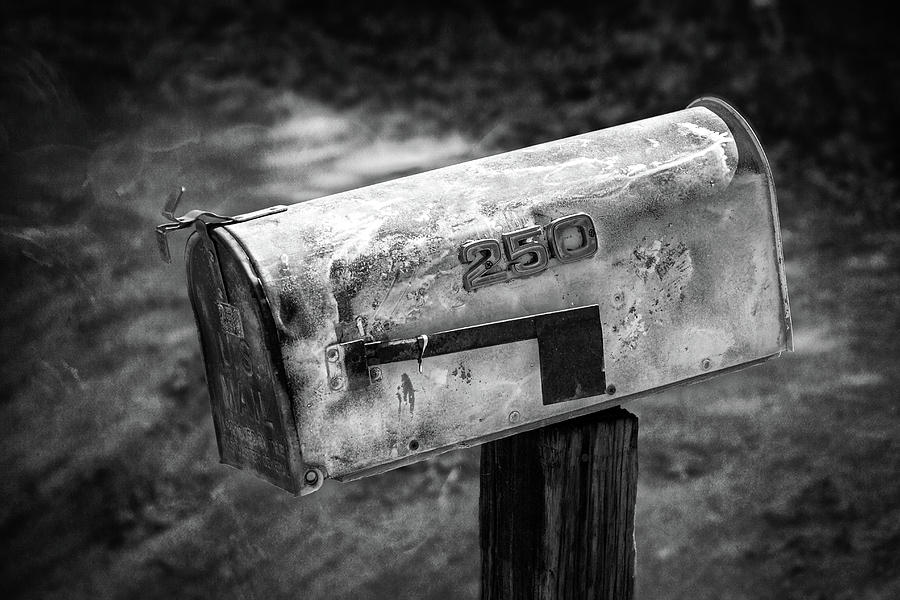 Mailbox 250 El Camino Drive In Bw Photograph